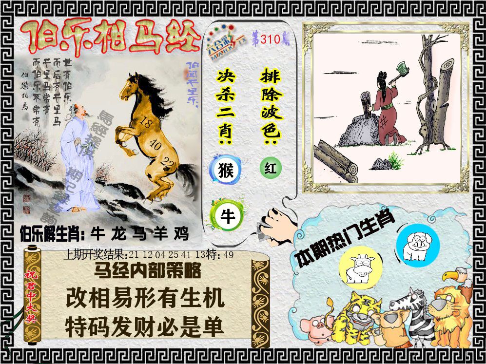 伯乐相马经 第310期