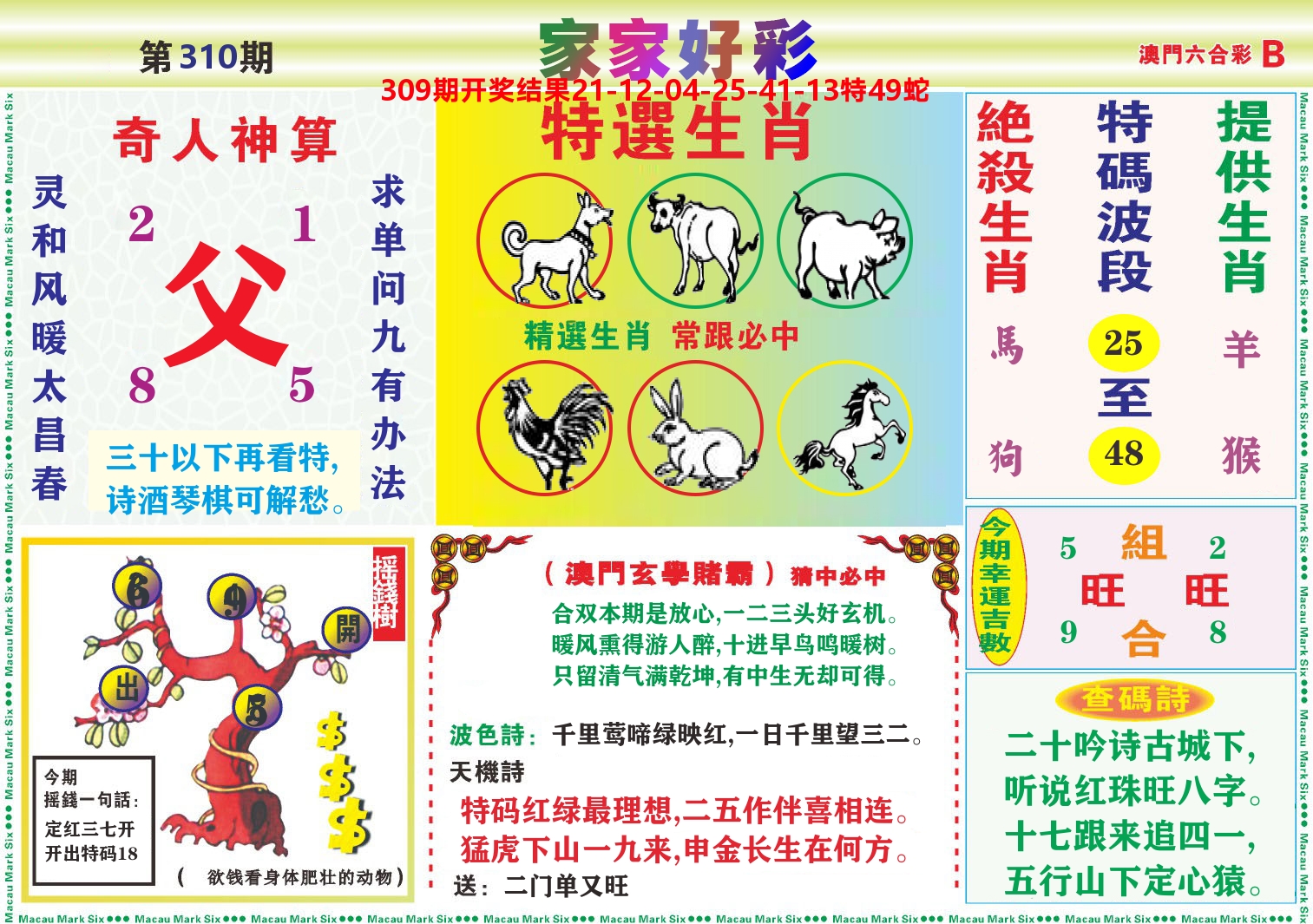家家好彩B 第310期