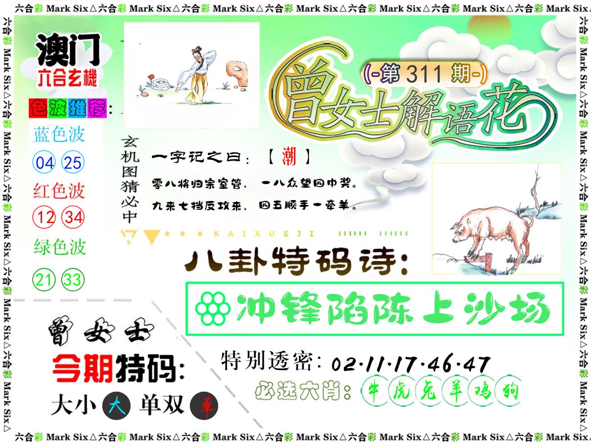 曾女士解语花 第311期