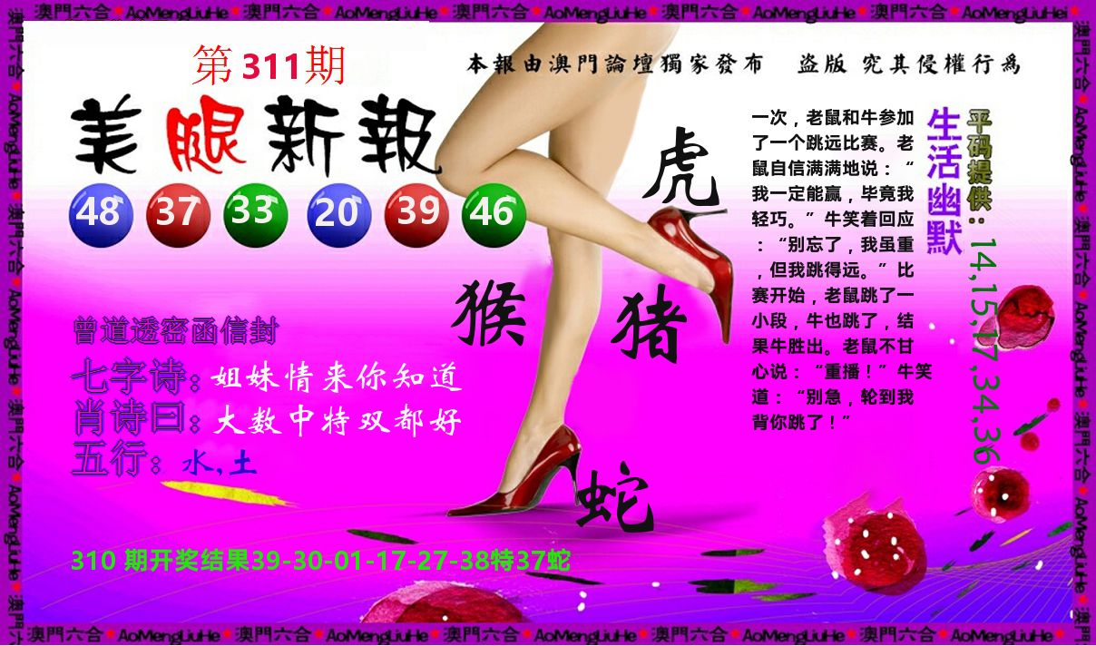 美腿新报 第311期