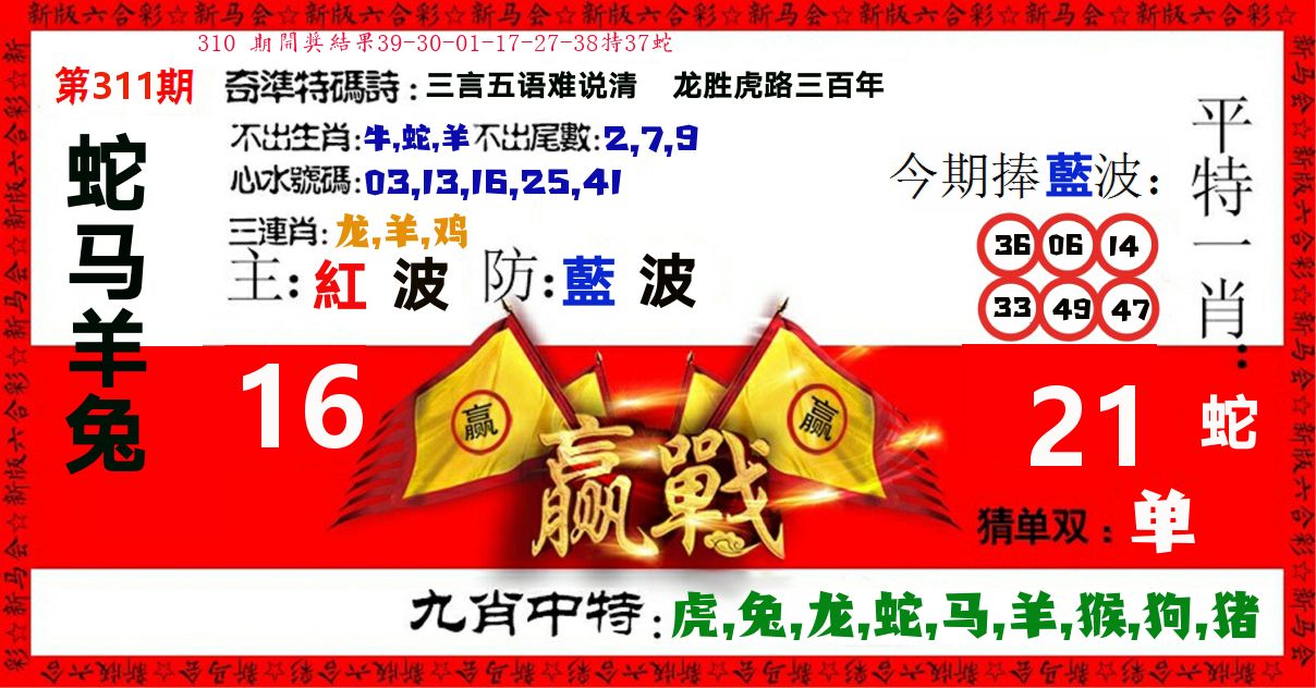 赢站 第311期