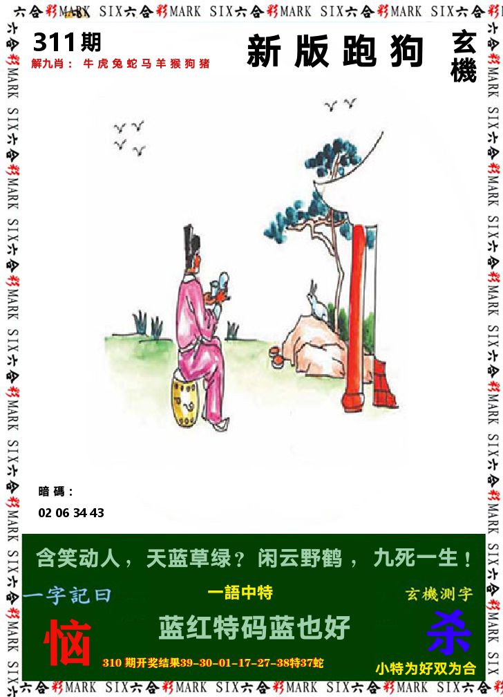 悟入其图 第311期
