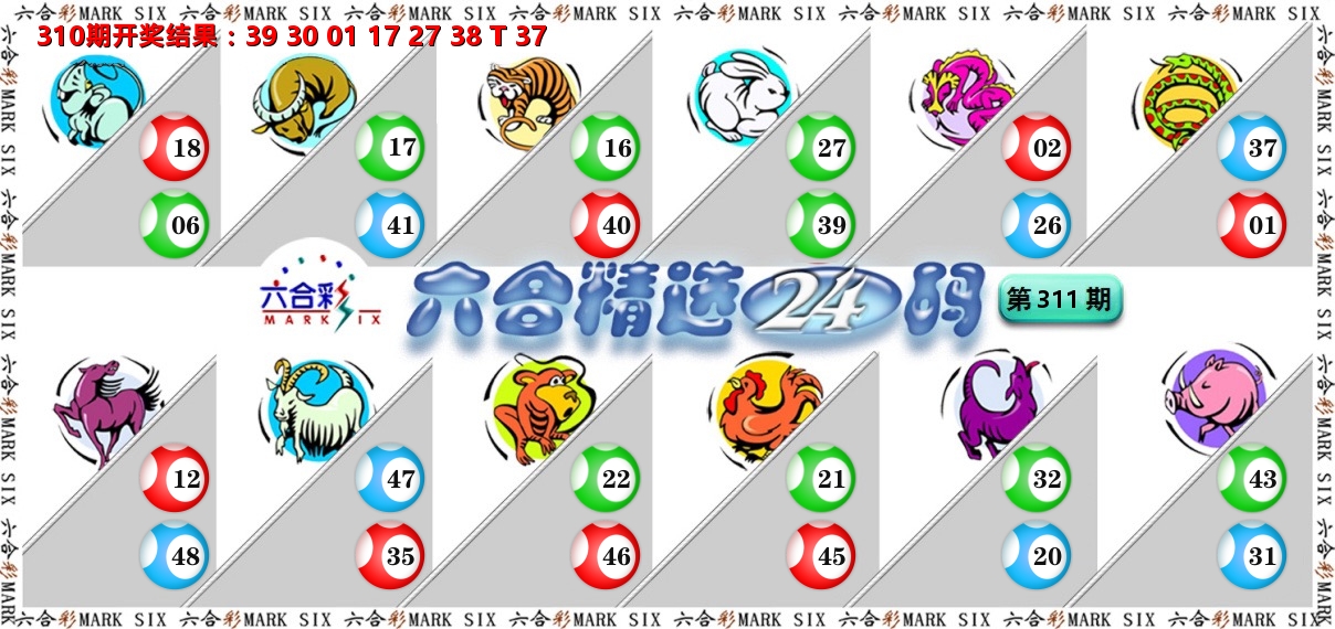 六合精选24码 第311期