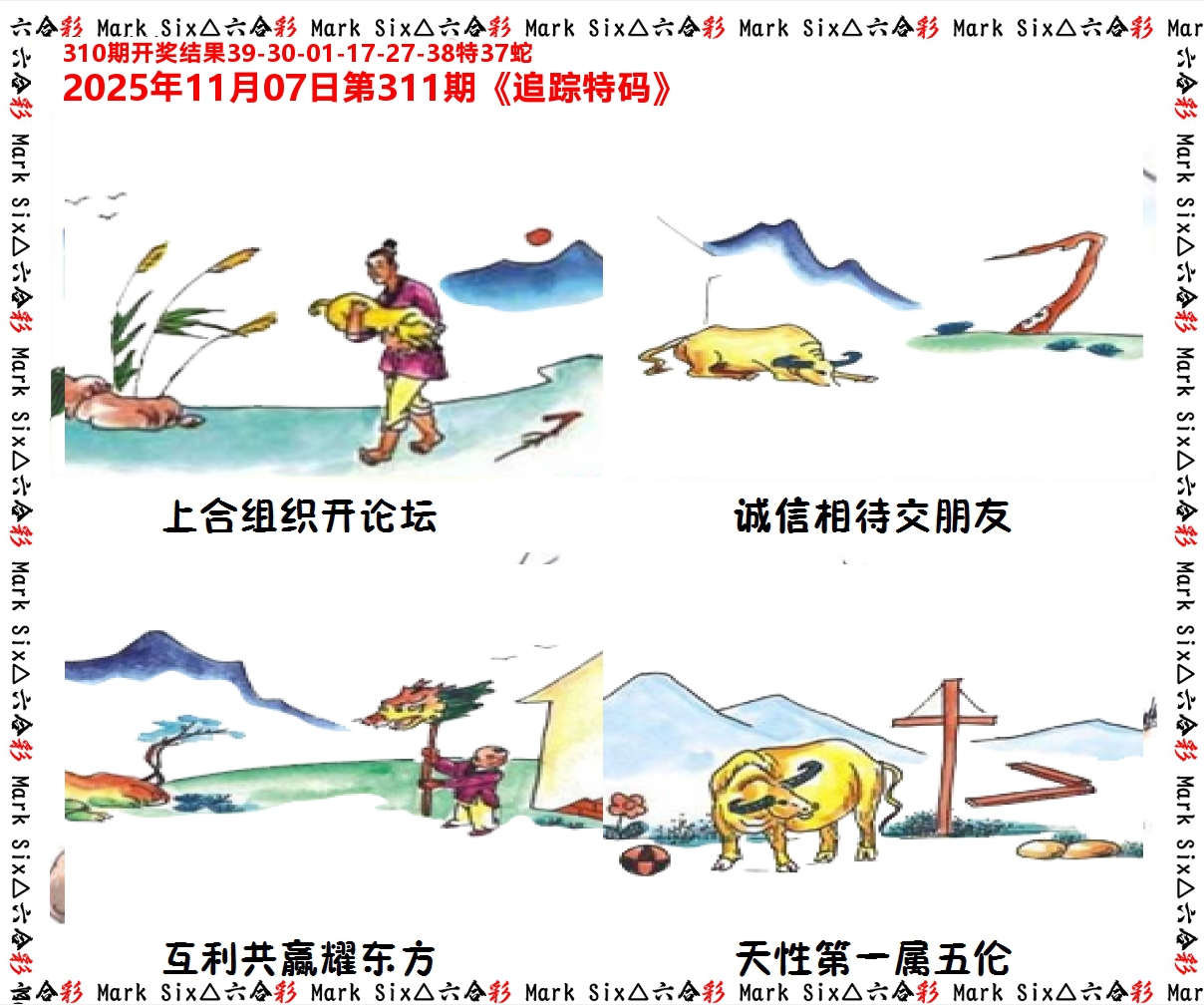追踪特码 第311期