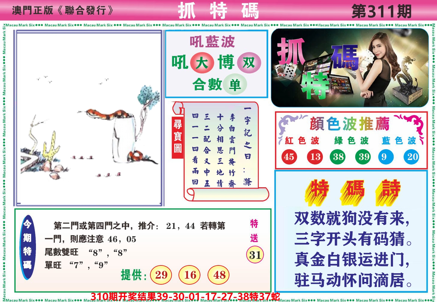 澳门抓特码A 第311期