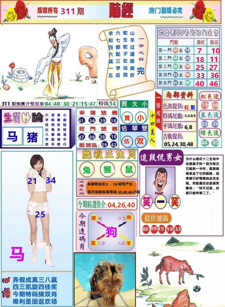澳门赌经 第311期