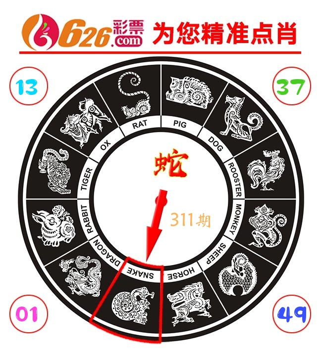 精准点肖 第311期