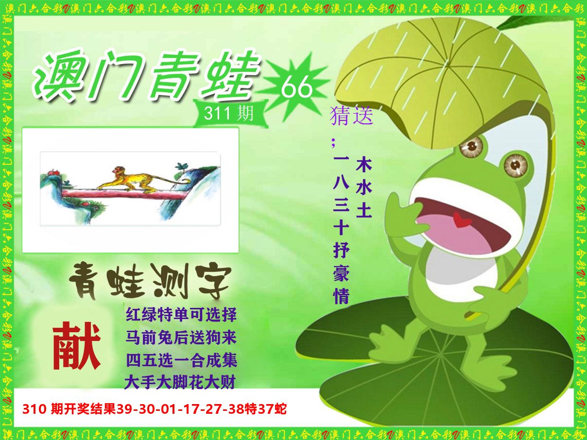 青蛙系列66 第311期