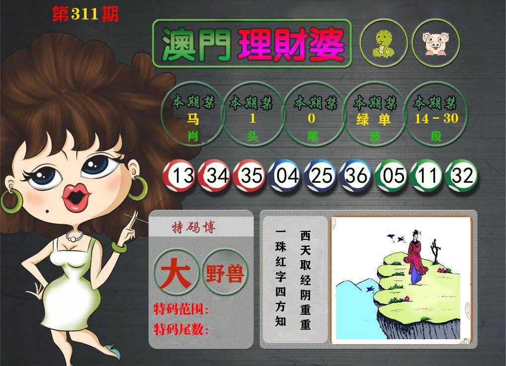 理财婆 第311期