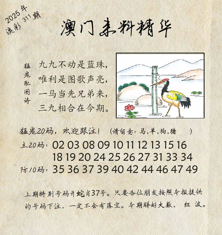 精华来料 第311期