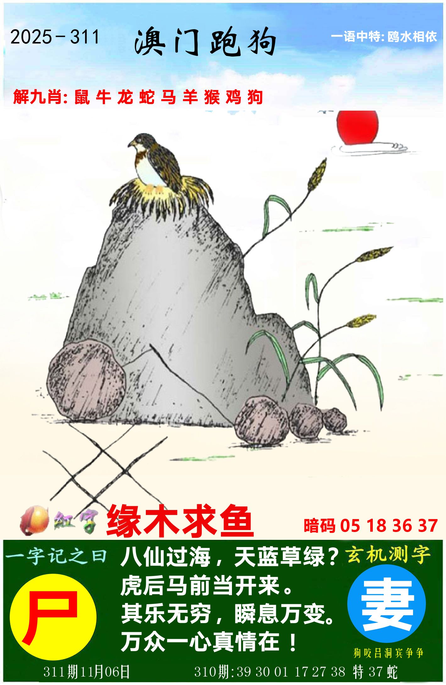澳门跑狗图 第311期