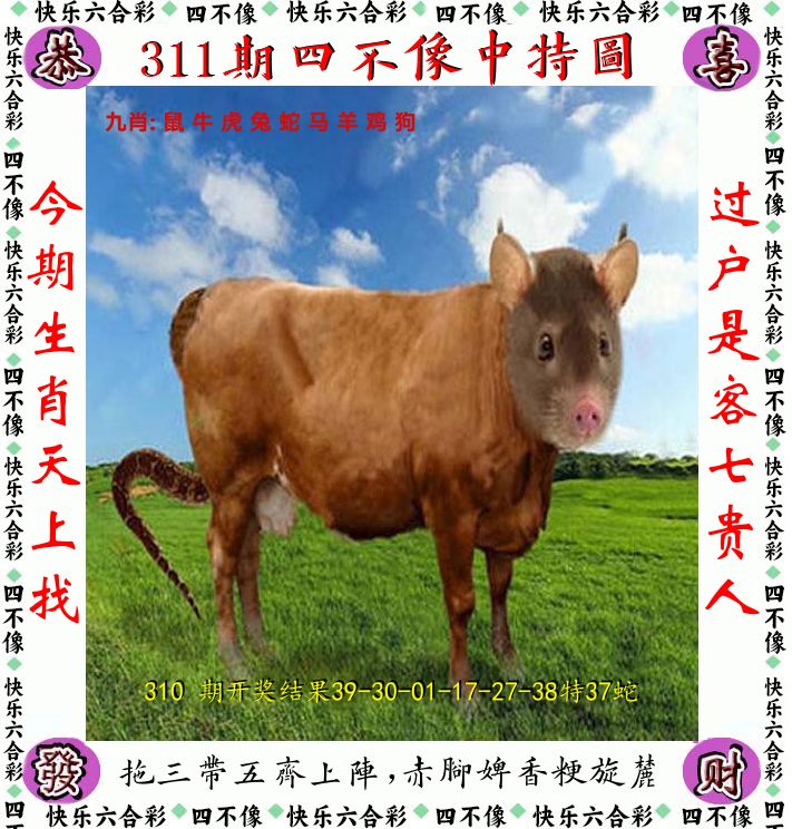 四不像 第311期