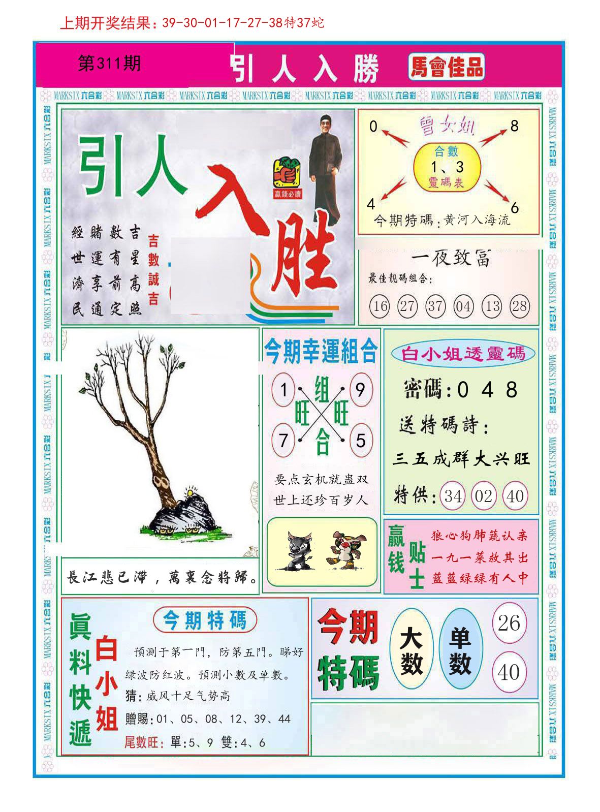引人入胜 第311期