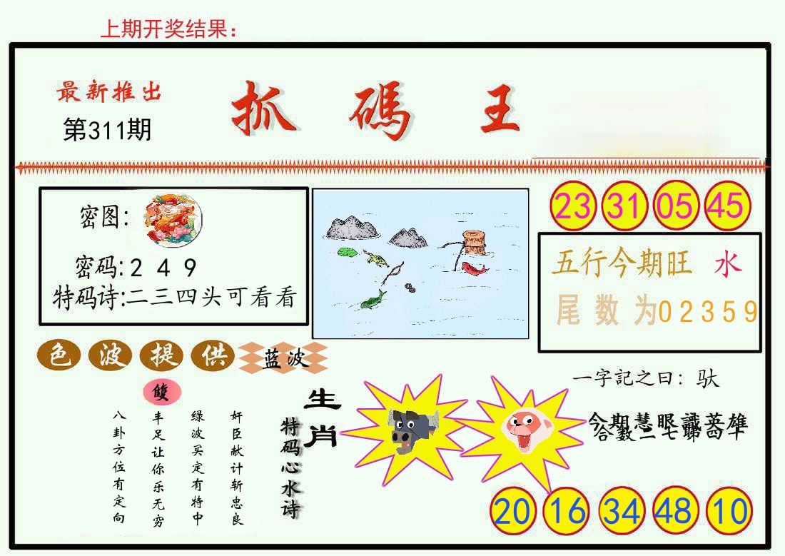 最新抓码王 第311期