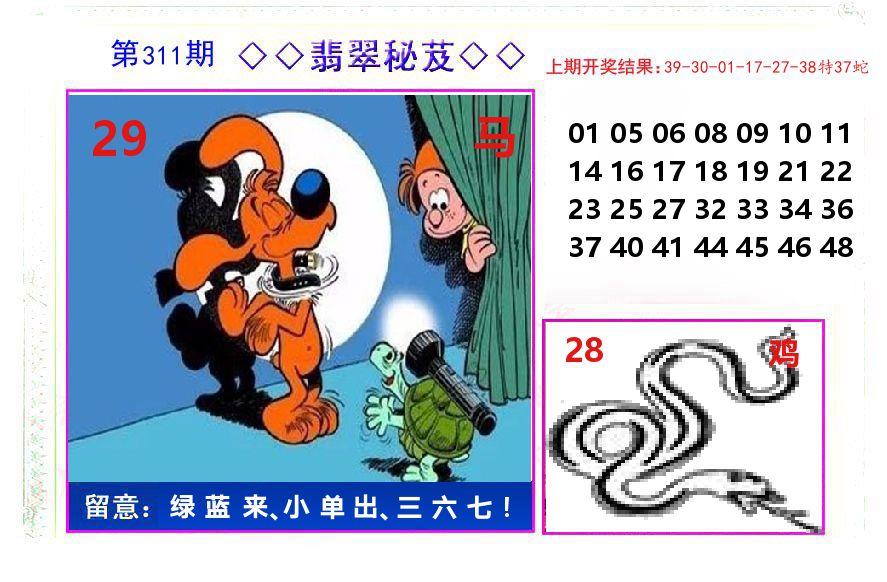 翡翠秘芨 第311期