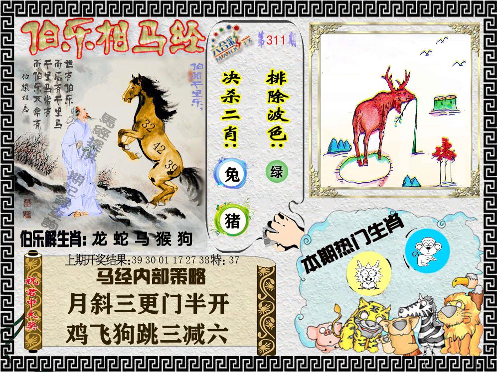 伯乐相马经 第311期