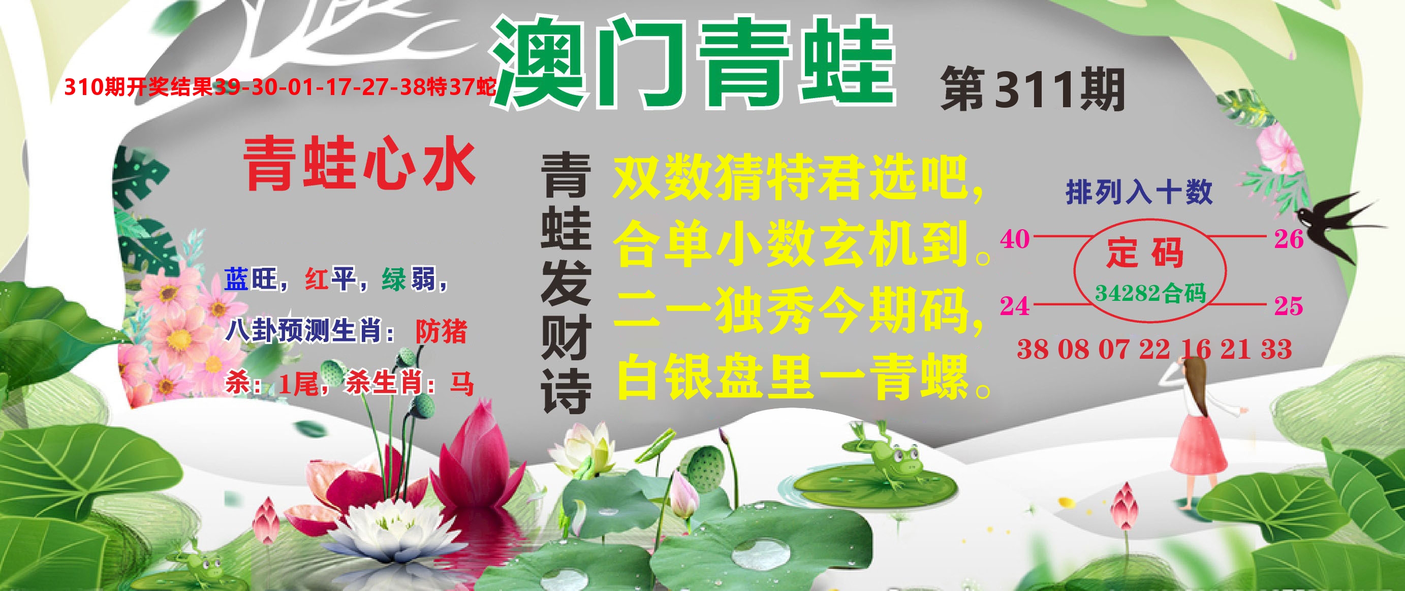 澳门致富经D 第311期