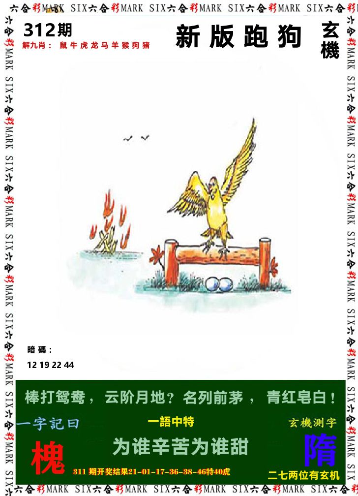 悟入其图 第312期