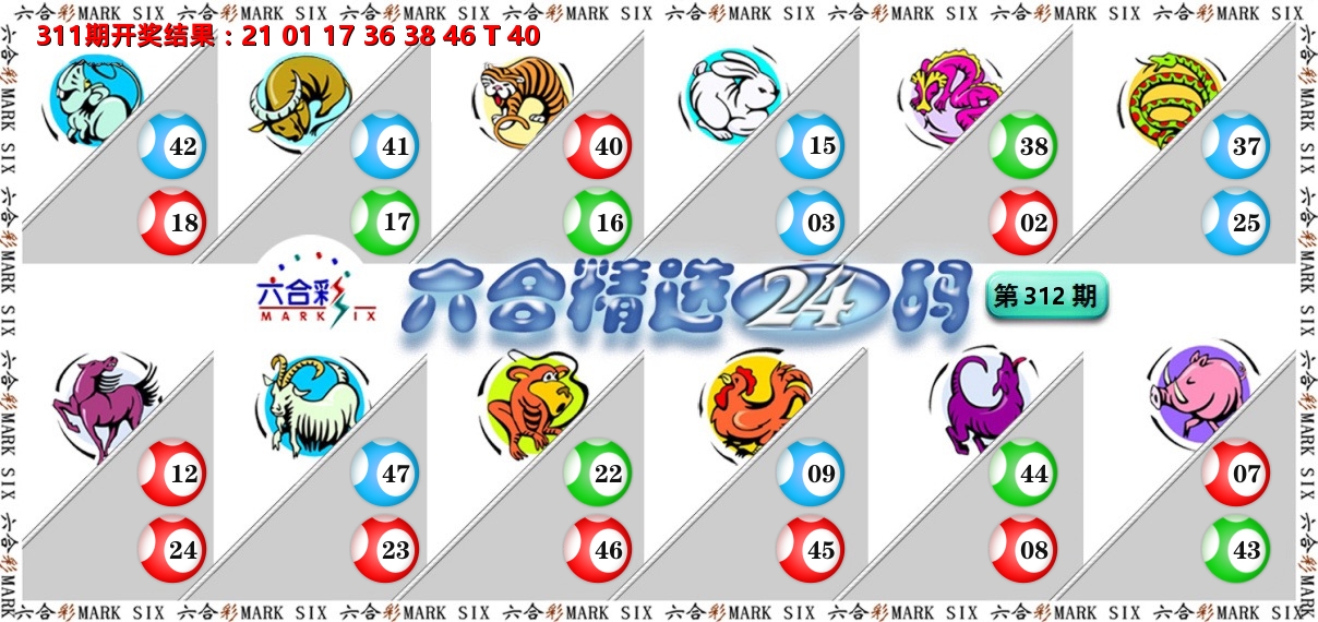 六合精选24码 第312期