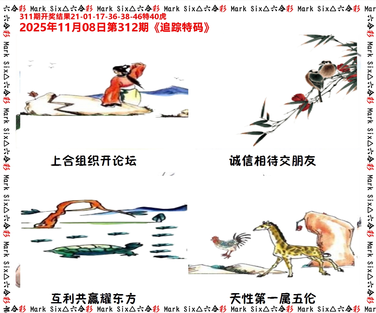 追踪特码 第312期