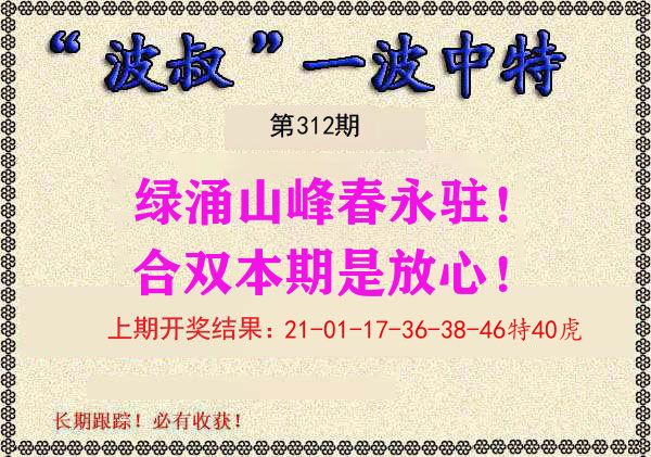 波叔中特 第312期