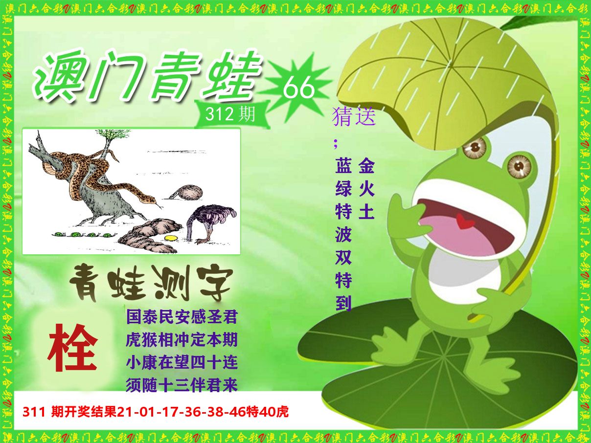 青蛙系列66 第312期