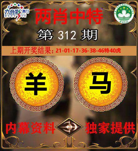 两肖中特 第312期