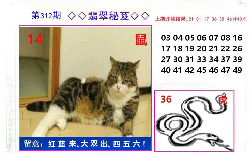 翡翠秘芨 第312期
