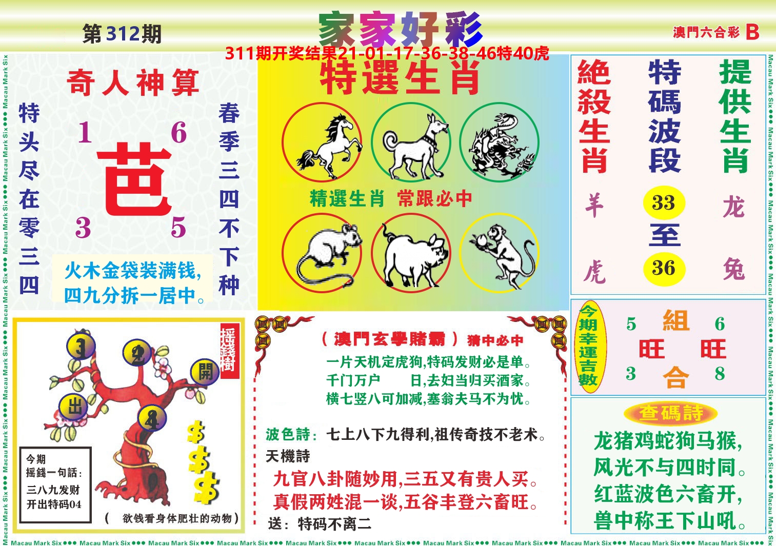 家家好彩B 第312期