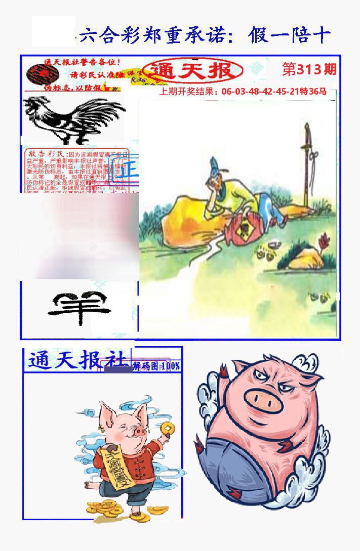通天报 第313期