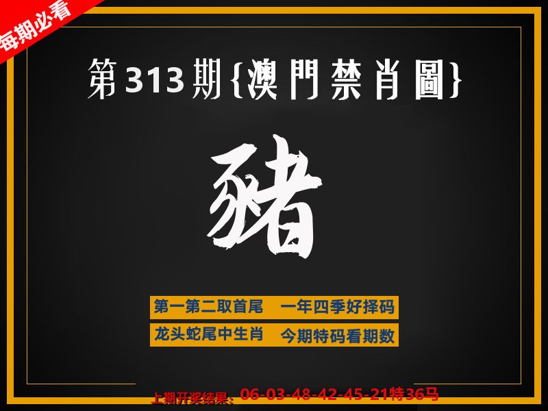 茶湾港料《彩》 第313期