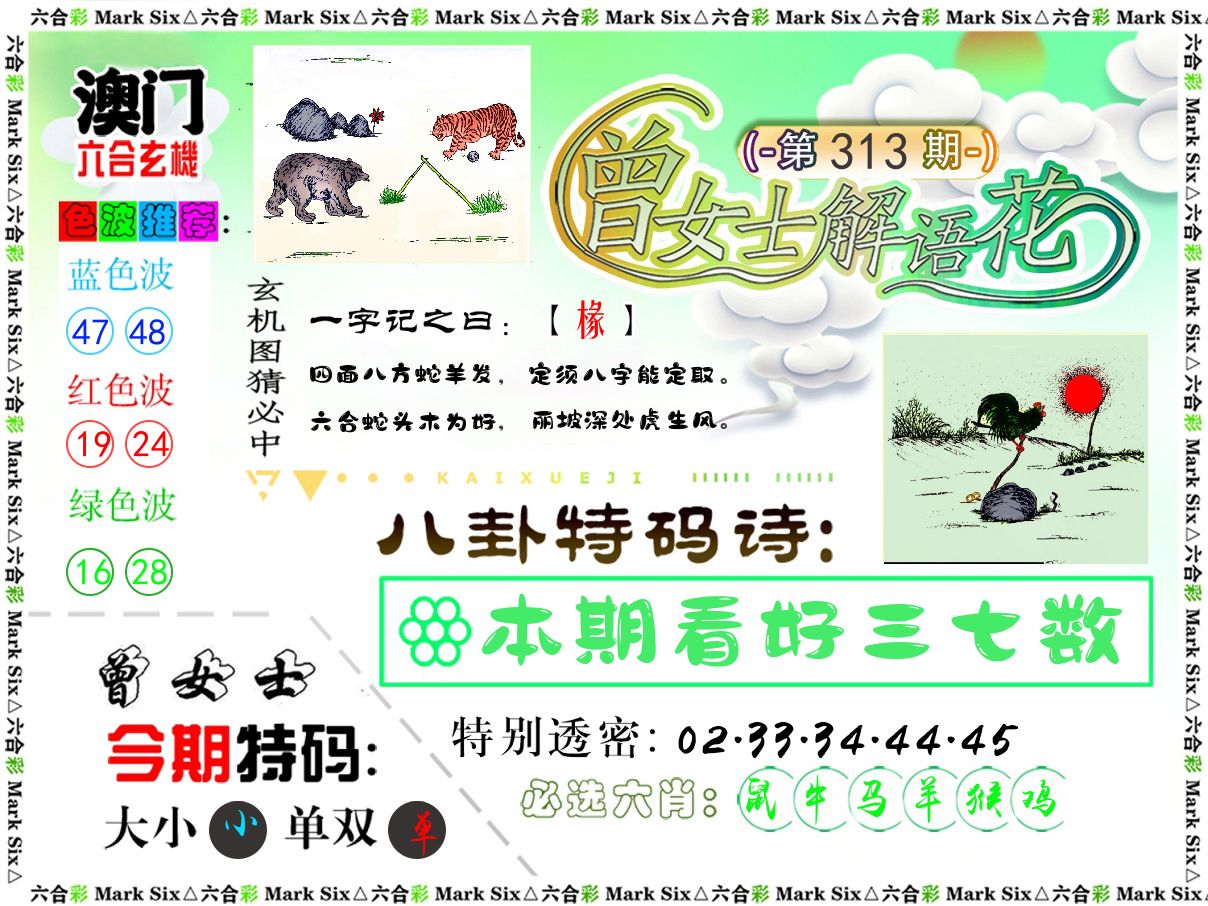 曾女士解语花 第313期