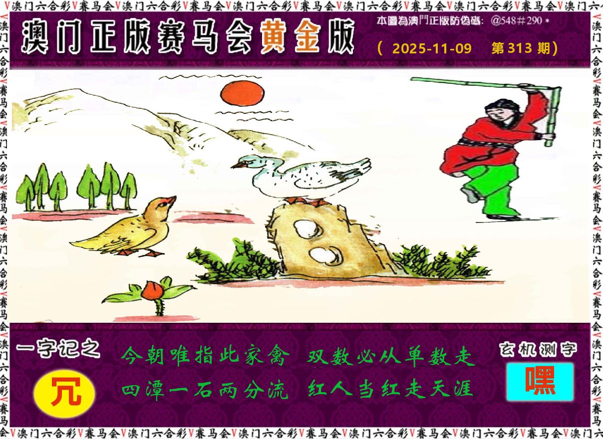赛马会黄金版 第313期