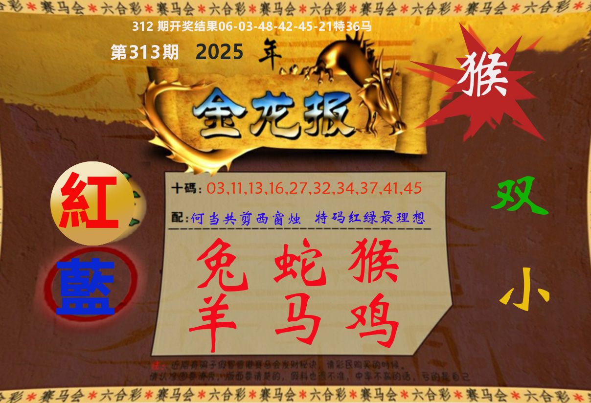 金龙报 第313期