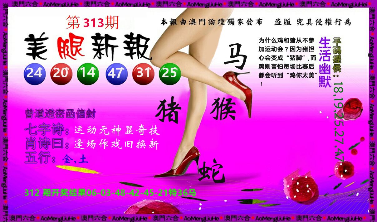 美腿新报 第313期