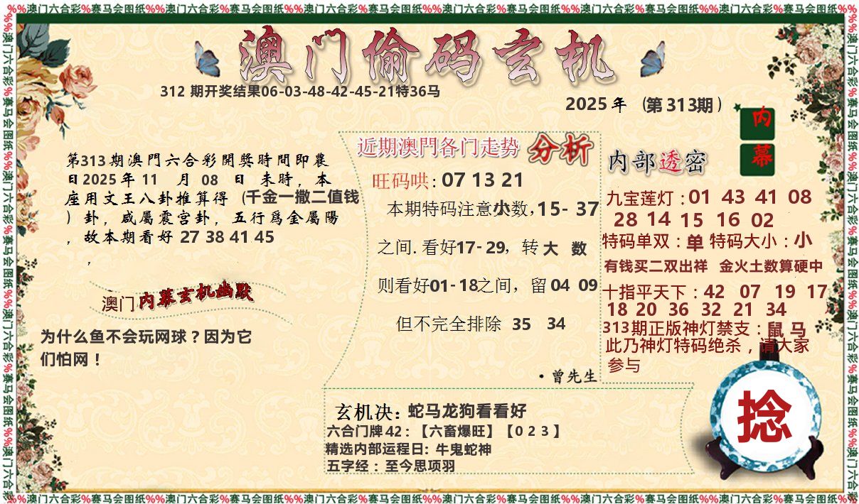 偷码玄机 第313期