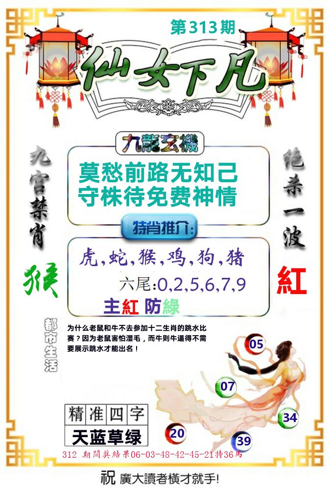 仙女下凡 第313期