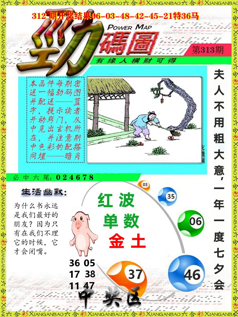 劲码图 第313期
