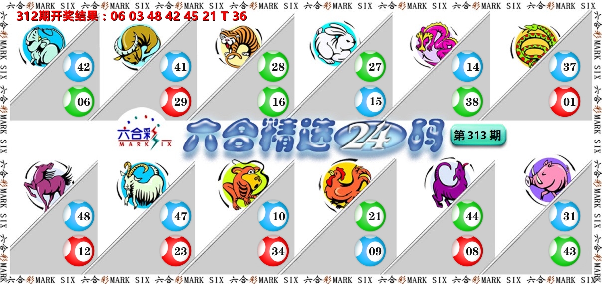 六合精选24码 第313期