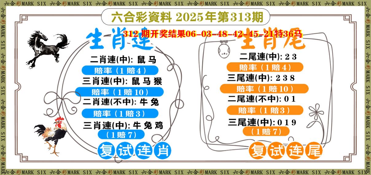 复试连 第313期