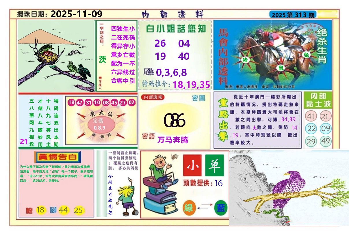 澳门内部透料A 第313期