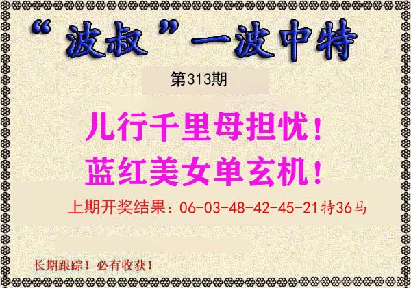 波叔中特 第313期