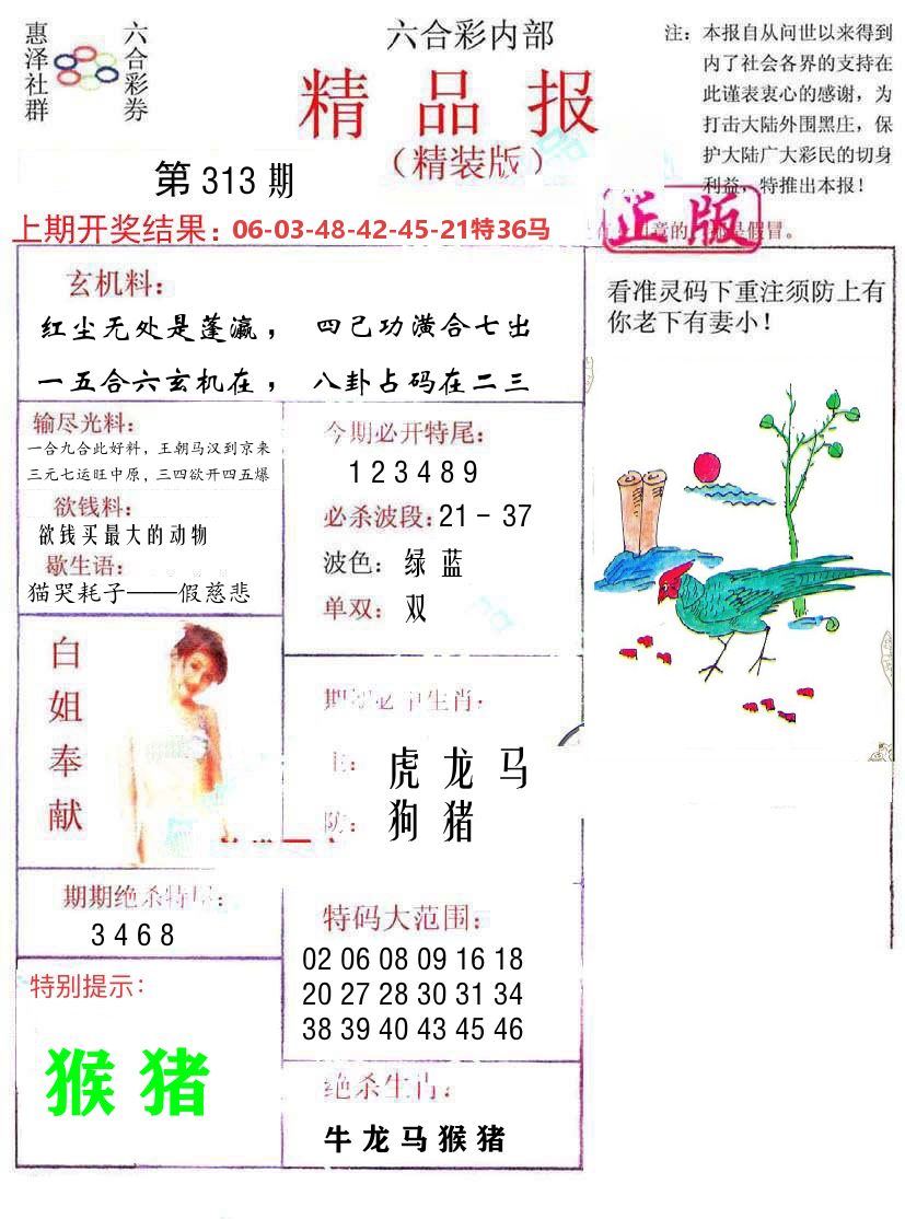 精品报 第313期