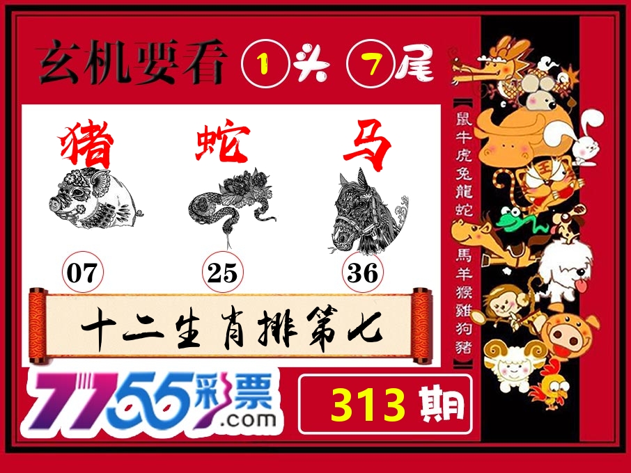 玄机要看 第313期