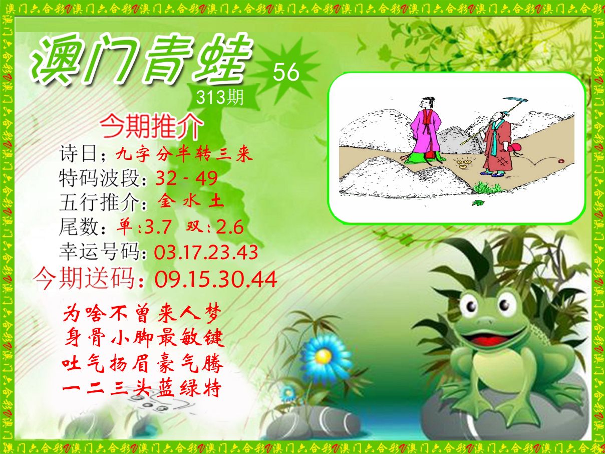 青蛙系列56 第313期