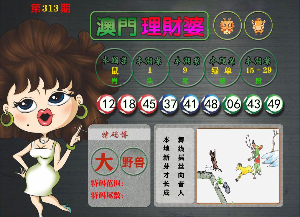 理财婆 第313期