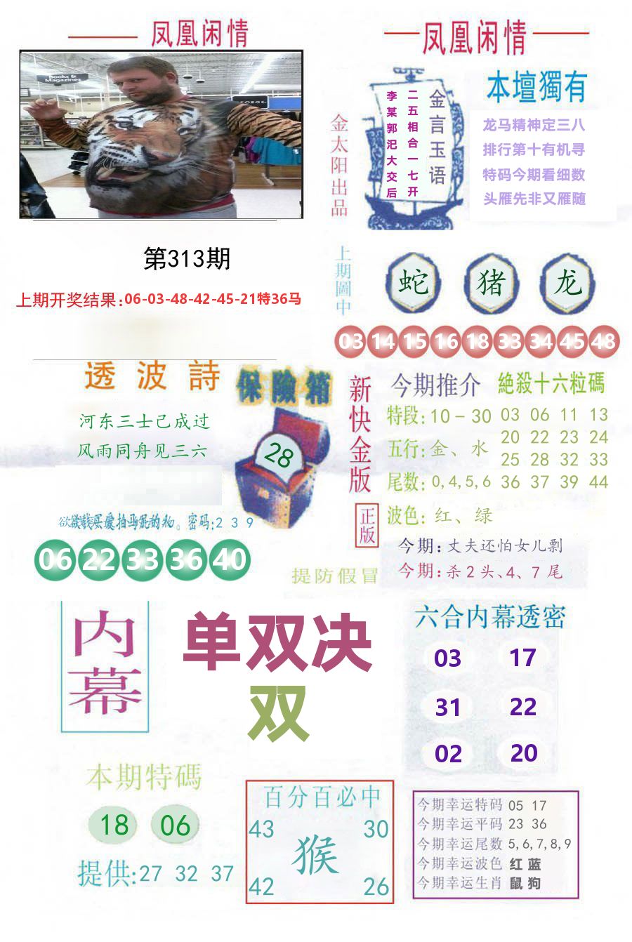 凤凰闲情 第313期