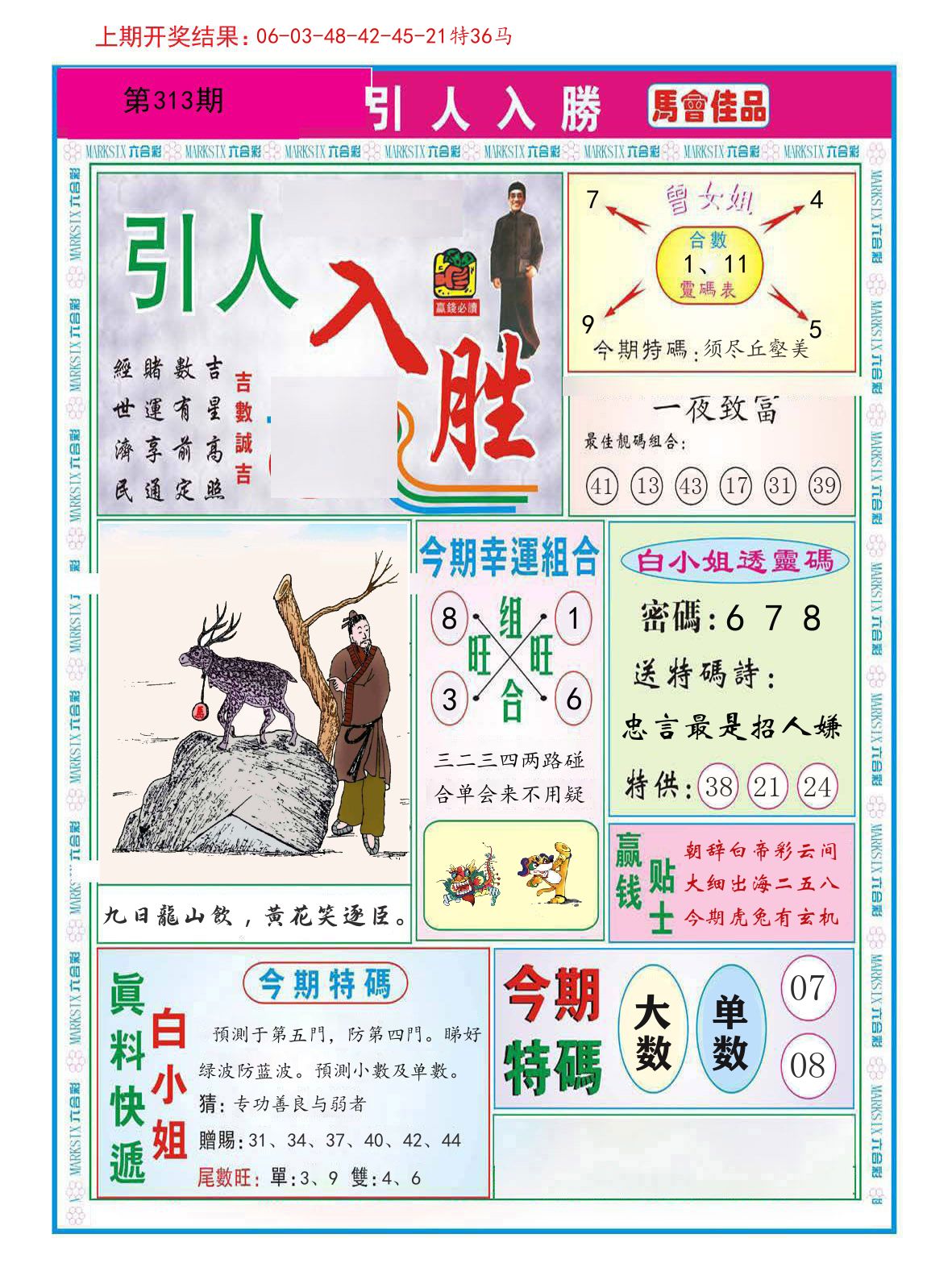 引人入胜 第313期