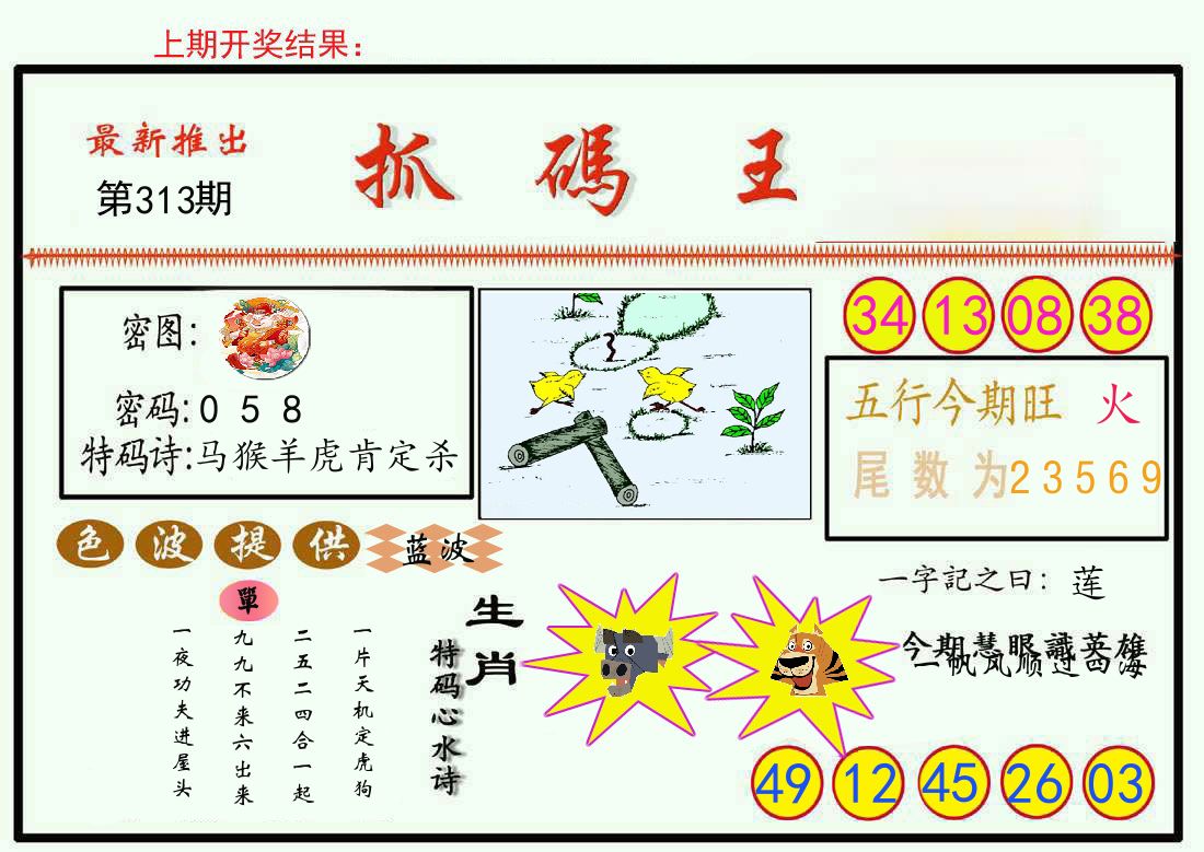 最新抓码王 第313期
