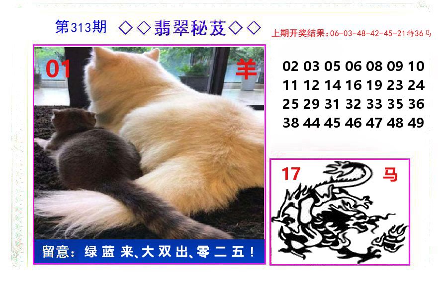 翡翠秘芨 第313期